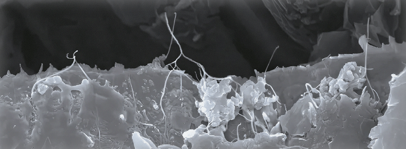 ANODES <br/>Fast-charging graphite
