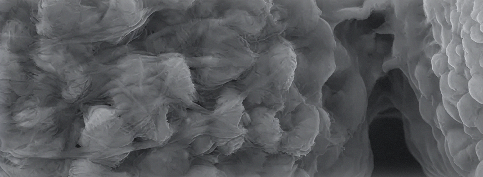 CATHODES <br/>High-nickel