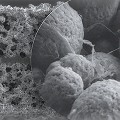 Next-generation batteries