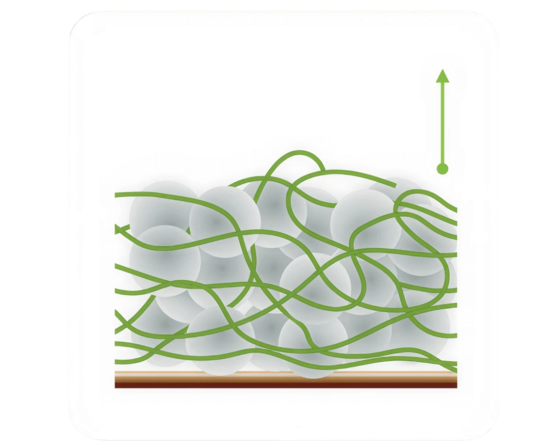 Fast-Charging Graphite Anodes