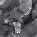 CATHODES Single-crystal NCM