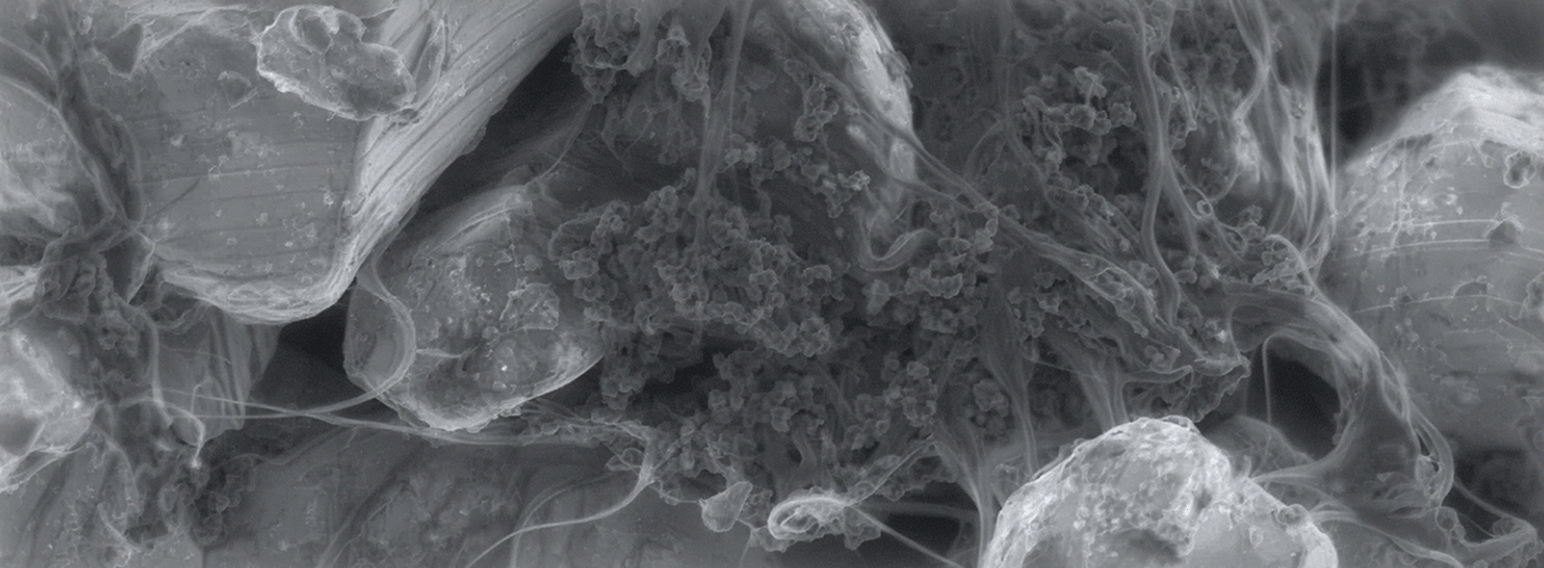 CATHODES <br/>LFP cathodes