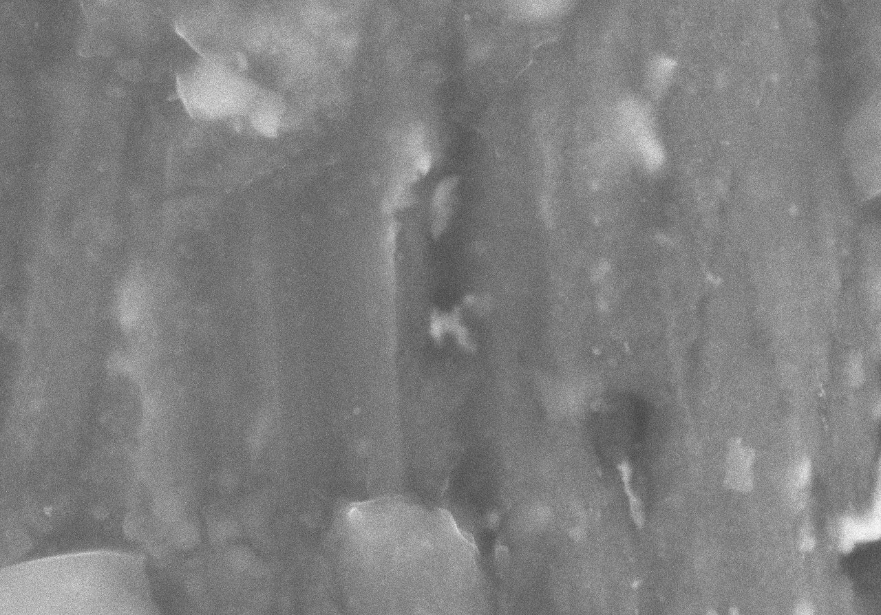  Vedere la microscopia 