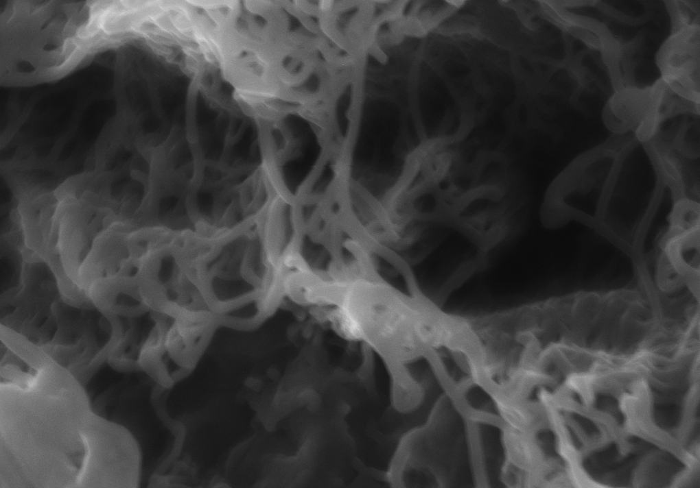  Vedere la microscopia 